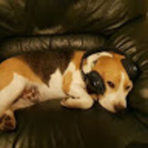 Meet your Posher, Salliann